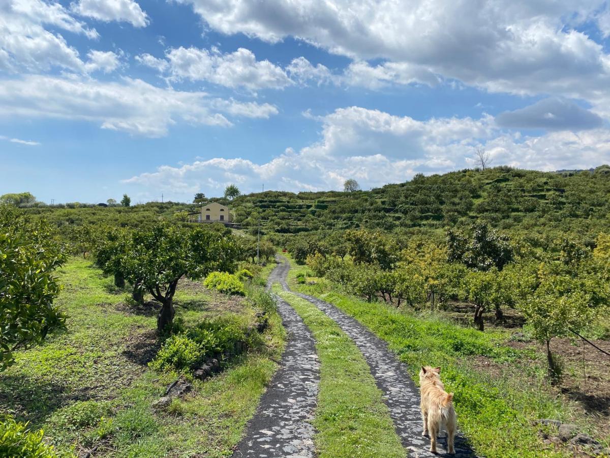 Agriturismo Le Case Di Civi Mascali Esterno foto
