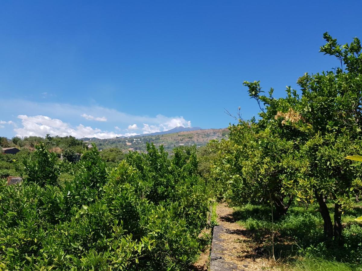 Agriturismo Le Case Di Civi Mascali Esterno foto