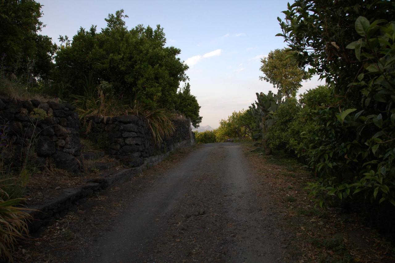 Agriturismo Le Case Di Civi Mascali Esterno foto