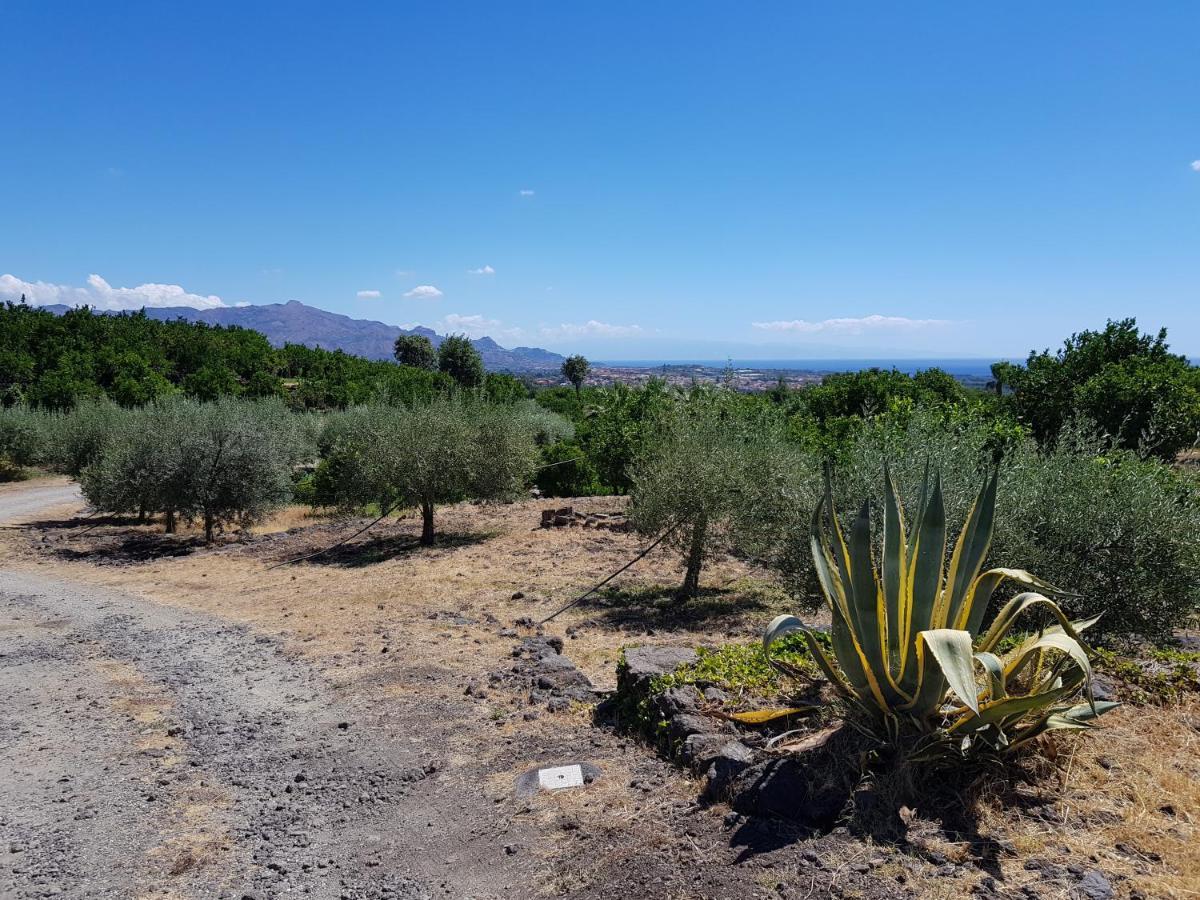 Agriturismo Le Case Di Civi Mascali Esterno foto