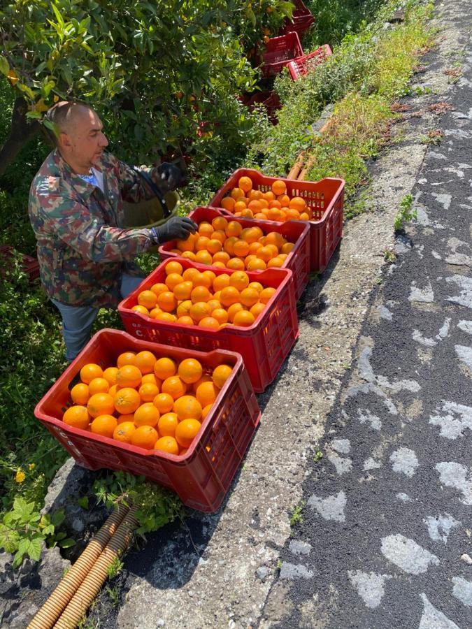 Agriturismo Le Case Di Civi Mascali Esterno foto